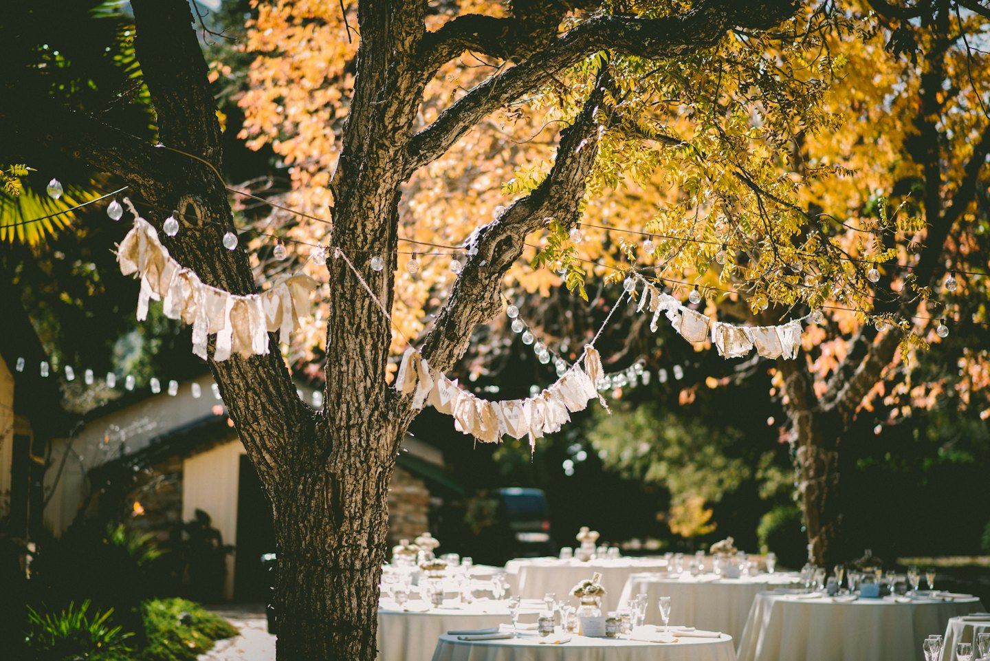 Tables de réception de mariage en extérieur sous des arbres d'automne avec guirlandes lumineuses.